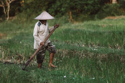 A man in the brown hat standing on the grass
